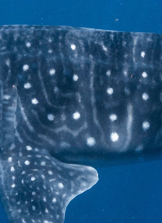 2ea42da6-8acb-481e-a842-06ba725c628d