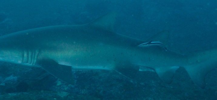 11833177-8499-4dc8-8fb1-b65fa28c4fb4