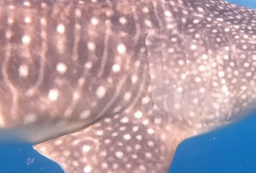 c4e366e8-be9a-4edb-b7af-cb1b6feff7c3