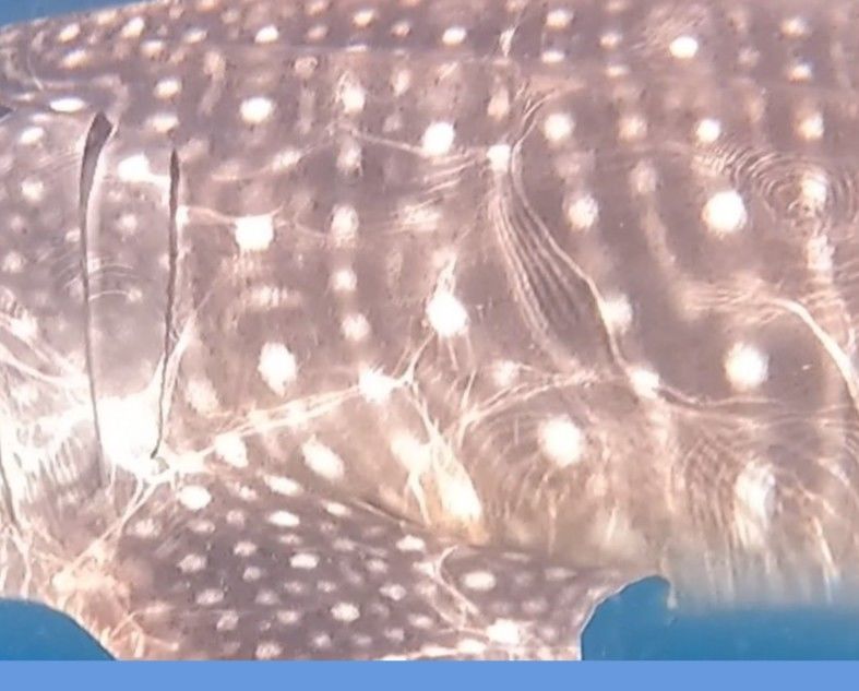 c4e366e8-be9a-4edb-b7af-cb1b6feff7c3