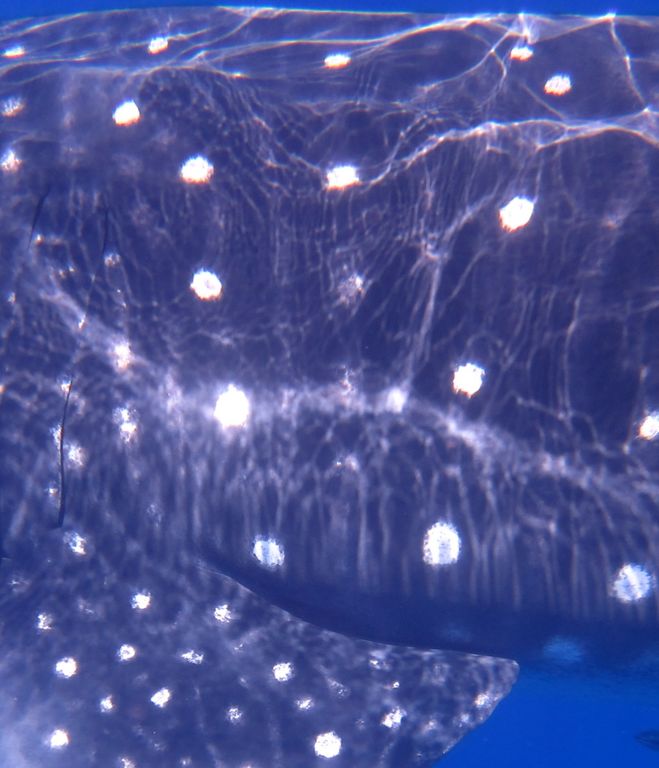 eb3f088c-e13d-4bbd-a8d3-bfa322953381