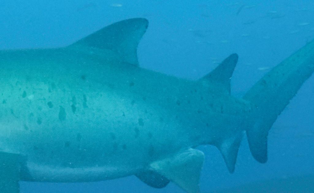 459b1f53-e372-4ab4-b897-6a962c5f7b25