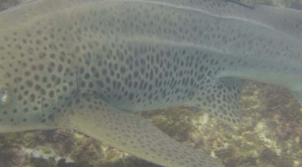 b829565e-133a-4185-9b65-fa718e818870