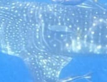 cc093b53-06d4-45f7-8a07-8e44c9c9a4ca