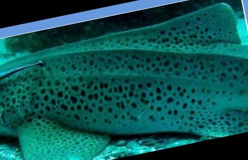 8f532bc2-2e0a-468f-b963-ce54a70792ef