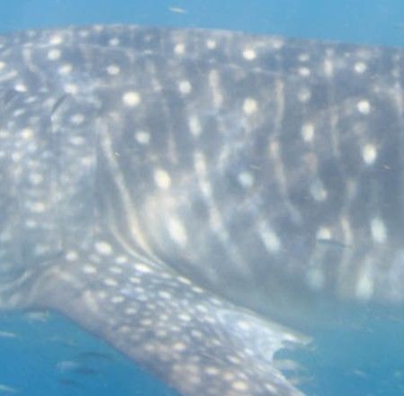 1d3d2551-66f7-48a3-a8c5-eed0ce9342fa