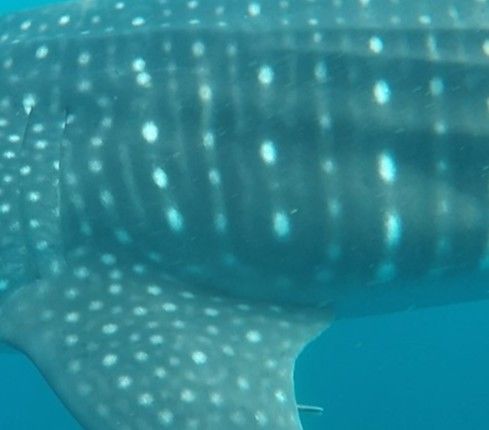 526fb952-161a-40f8-a984-941600f37a8f