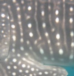 dcae0b1f-6950-437e-8348-197b7e66ad0c