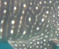 dcae0b1f-6950-437e-8348-197b7e66ad0c