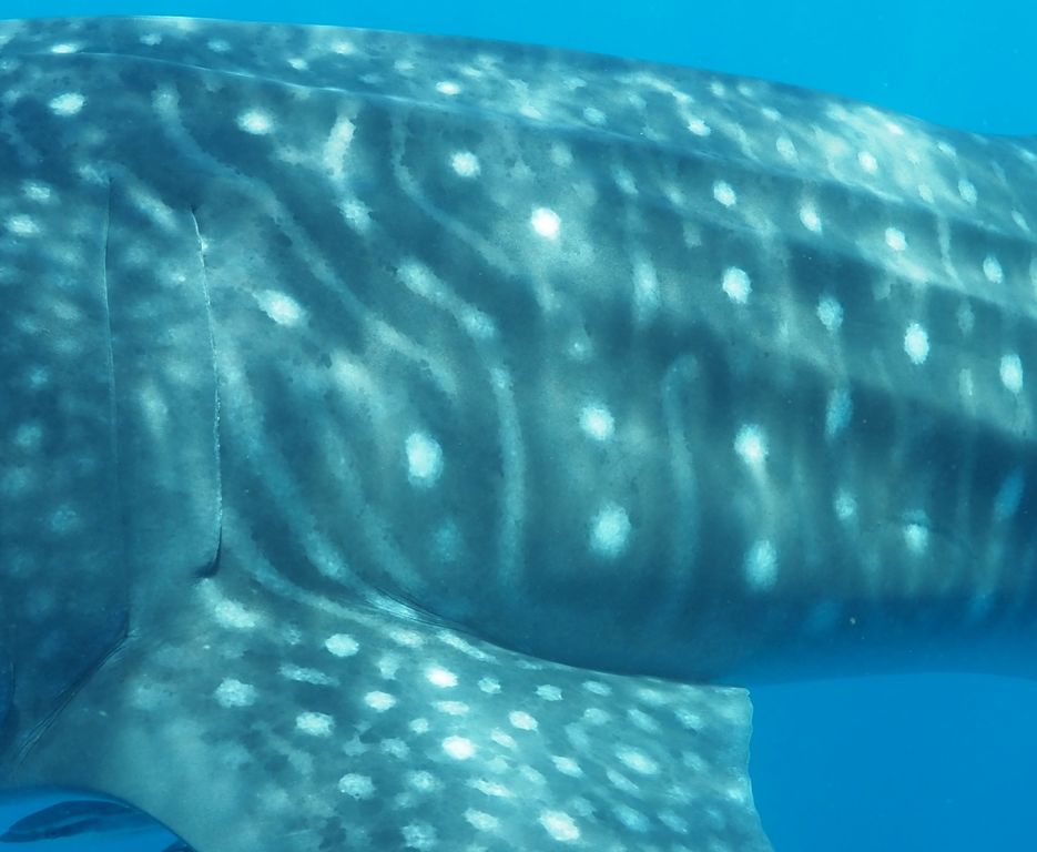 d5d5cb67-f535-40d2-a66c-5f1b6d41a14d