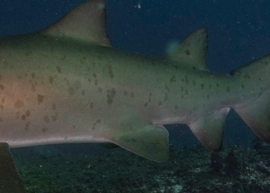 4dd7f654-6330-4fe6-9ea7-0fa788464f57