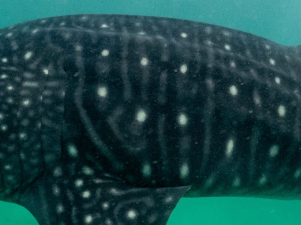 f12a83bf-8b9b-46bd-bd5b-00d5b9a65141