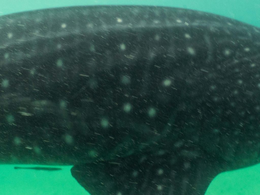 f12a83bf-8b9b-46bd-bd5b-00d5b9a65141