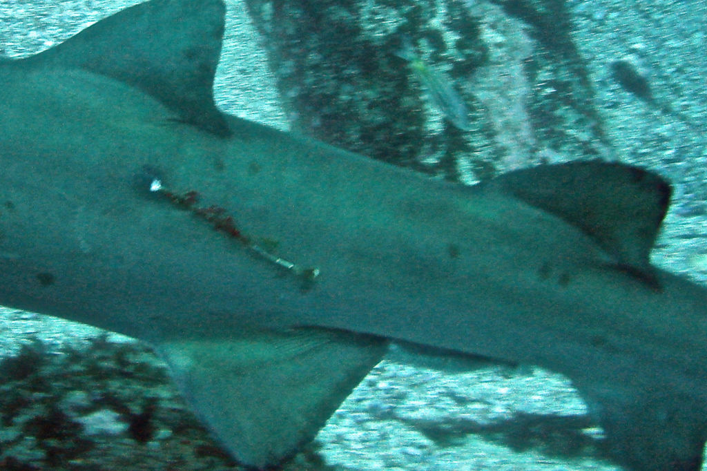 45cc2163-6102-480d-aee2-eb5da84975b0