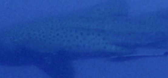 a2563952-ddc4-4076-bf02-ed861fe13b88