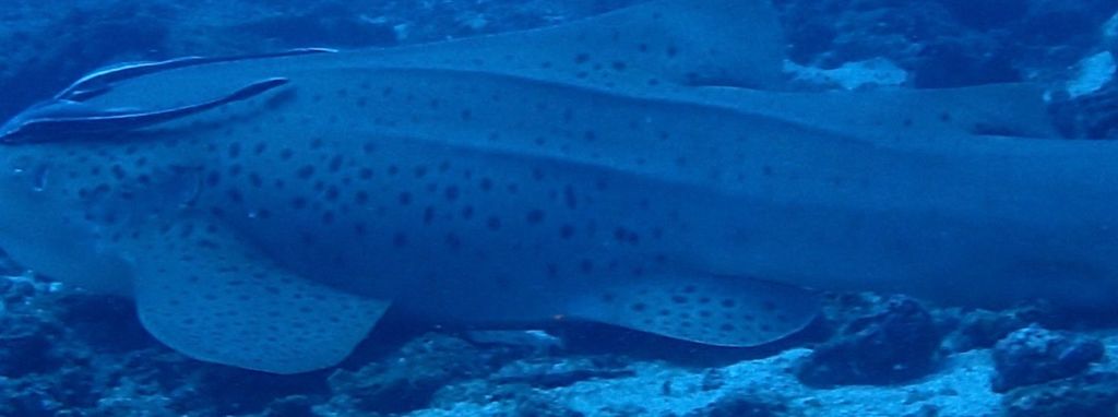 3a5ded30-b649-4d42-97a0-1bafef8bb9a1