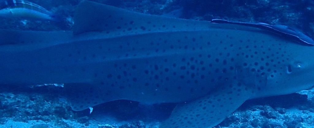 3a5ded30-b649-4d42-97a0-1bafef8bb9a1