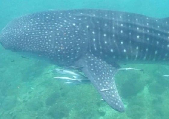 a1de2fda-fefe-4056-a1d1-5b2025f6a256