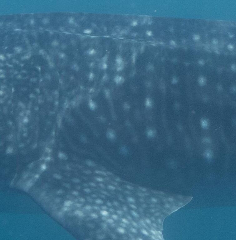 e8710aa2-28ce-463b-8881-fd578c88637c