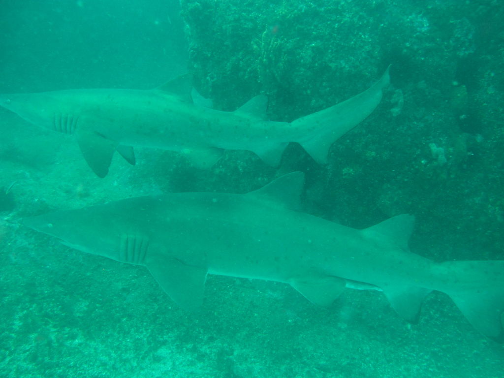 43647bc6-344f-4caf-a05b-590af3a2adac