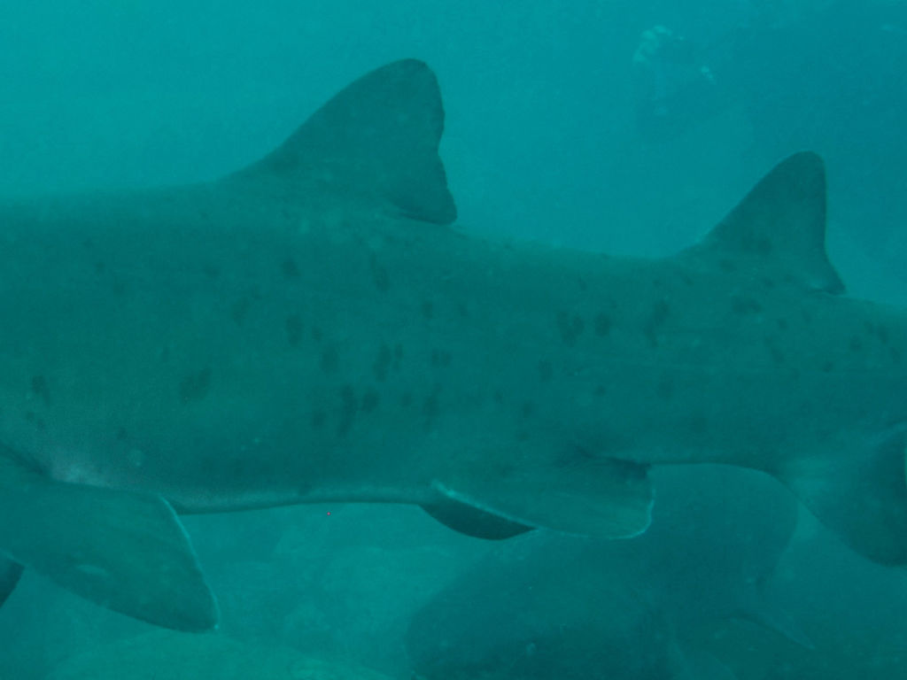 7fe6cf54-2b1b-4f0d-bde9-7d6e89b9d659