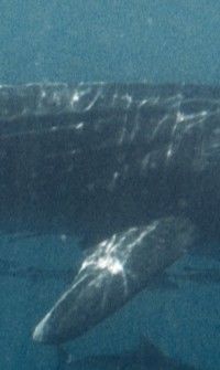 30b25556-7f89-47ae-b914-de60623b7aa6