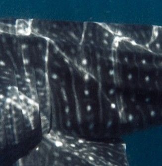 30b25556-7f89-47ae-b914-de60623b7aa6