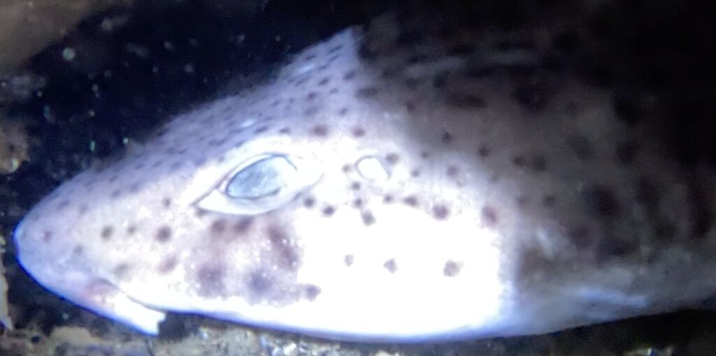 a12f24b8-5a50-4817-b25e-58ce85600c37