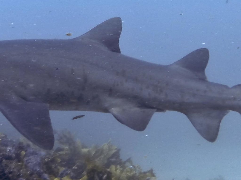 e5f72880-a0af-4c28-884d-c360d908e89f