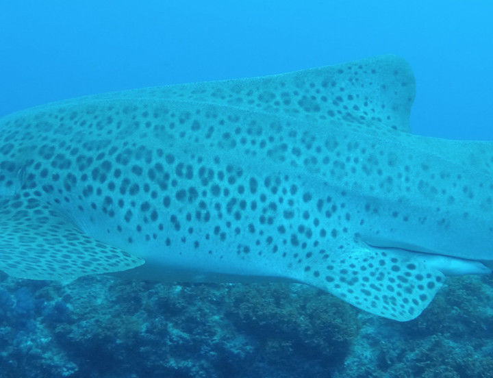 c11e34db-3108-420a-985d-1913a5b9de32