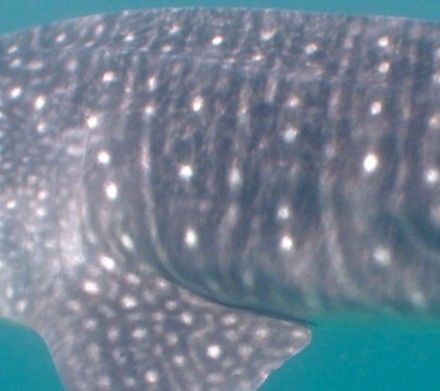 e6931945-8453-4d7b-a3b1-c2b2bba3d229