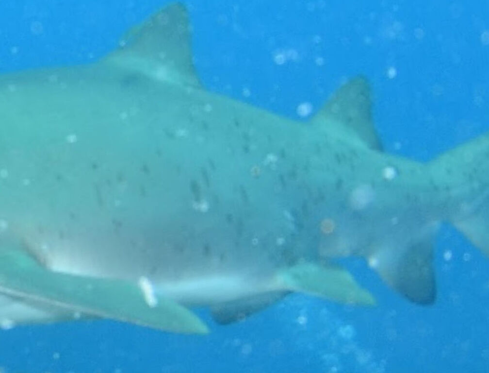 10beb0ad-faaa-464d-84fe-b8b836ccf627