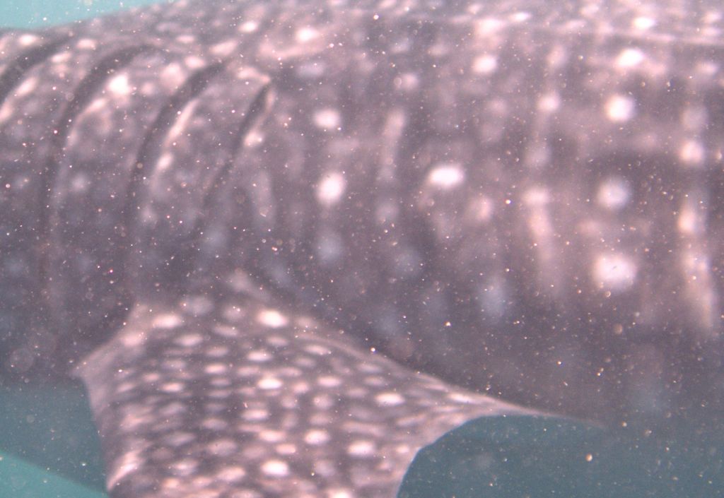 f77e8c0c-83e7-4dc6-80a2-1f892fa33a86