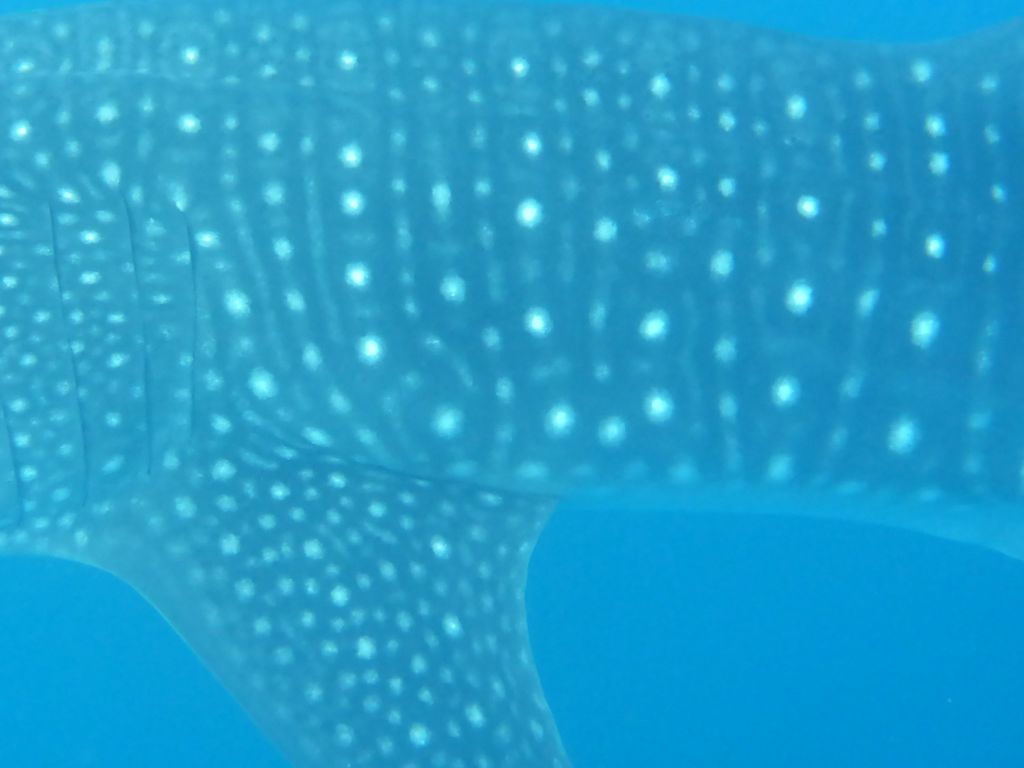 85ad4d84-382e-4b09-acd2-d7edf795e441