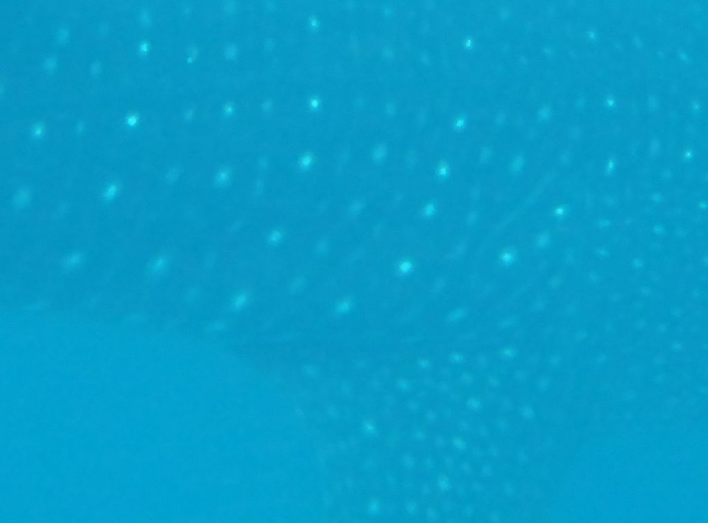 85ad4d84-382e-4b09-acd2-d7edf795e441