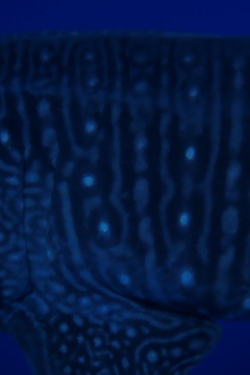 074a76bb-e038-40e8-9c9c-5db8472e766a