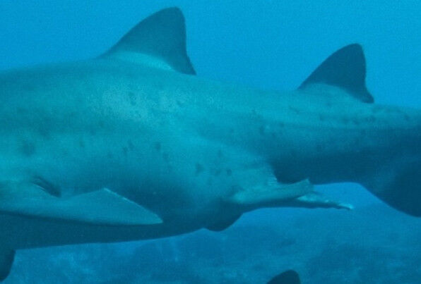 90e81e18-97c9-4f14-a13a-de04bf0592e6