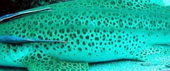 5e7bc46e-889f-4211-b727-e07c48e9f6f9