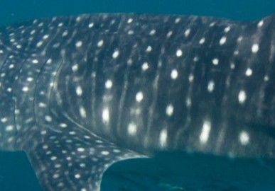 170a8242-e8eb-47d0-b10c-95a70c2ccb54