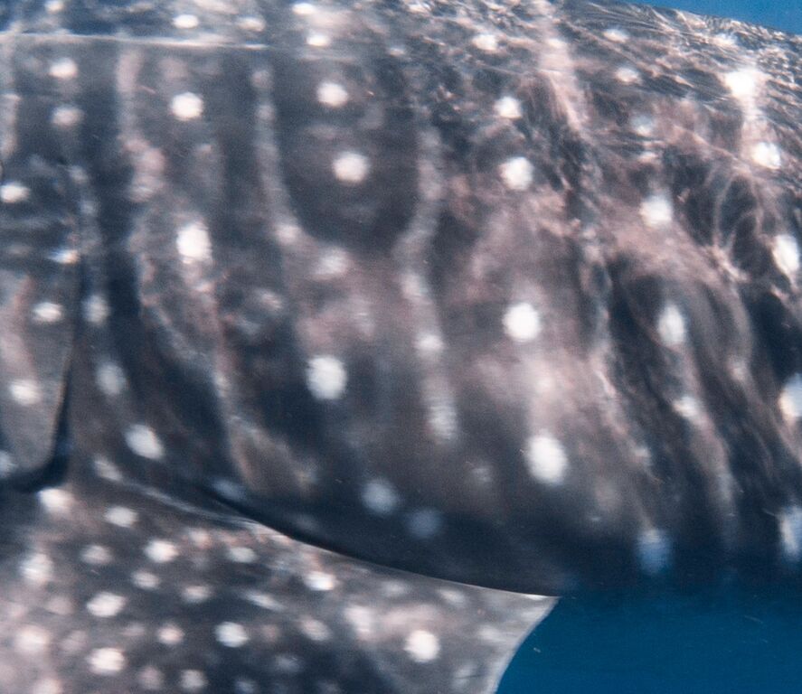 5ac80eb5-7ba8-47a4-b694-d82766787f7c