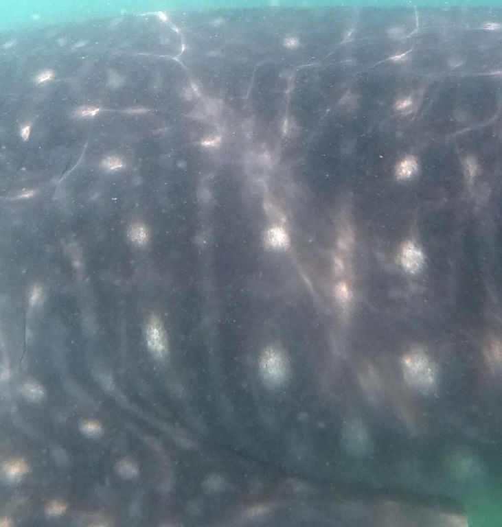 8ec909ee-3f92-4323-97cc-131c59bfcb6f