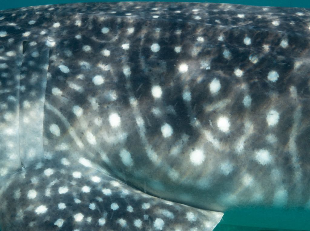 df852c0b-f4ba-431e-ab6b-95c8e63412c5