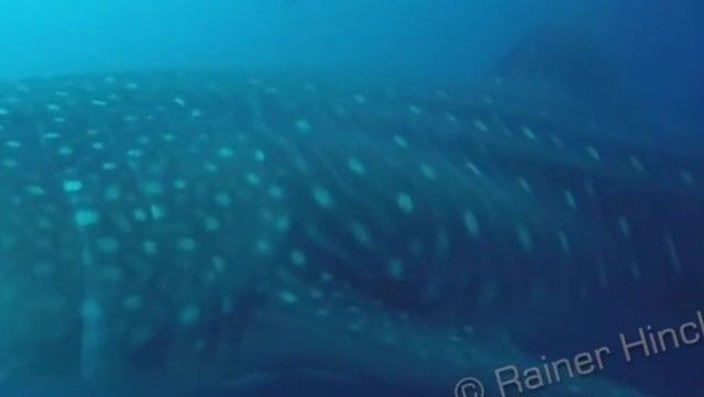 b7c10a42-5705-4900-839a-12b129aebf1b