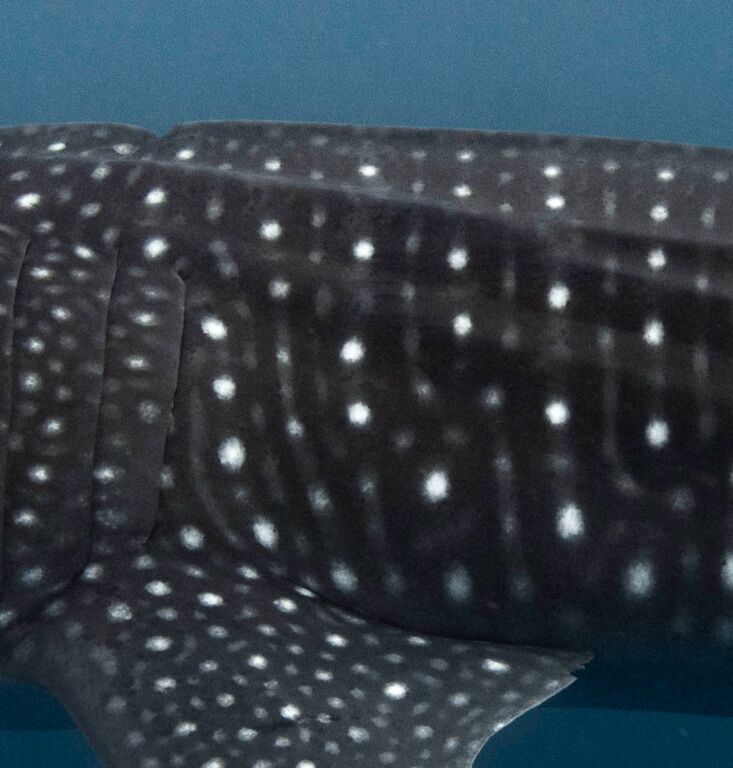 8178687b-509b-456c-96c0-45139cfd1e8a