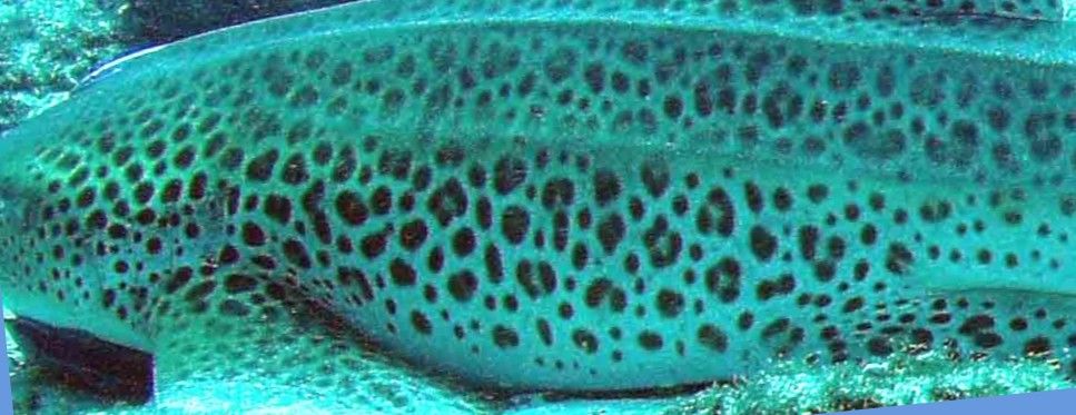 649f510a-5f45-4bff-9475-4997c8aae71f