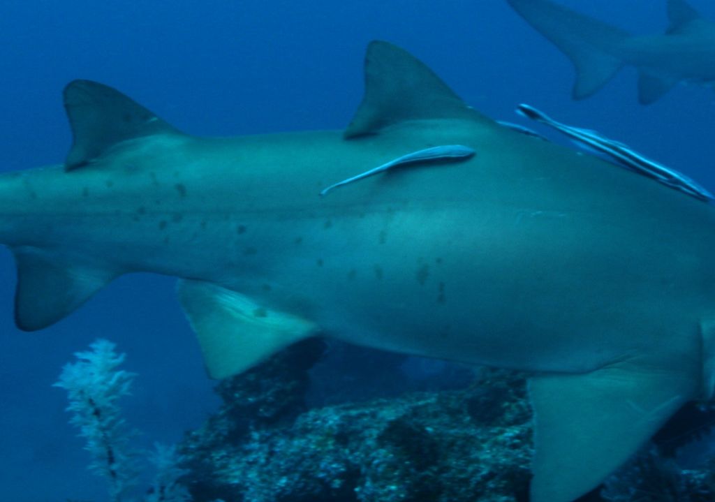 7d3fc65c-da5f-4322-9617-c5e837c91f95