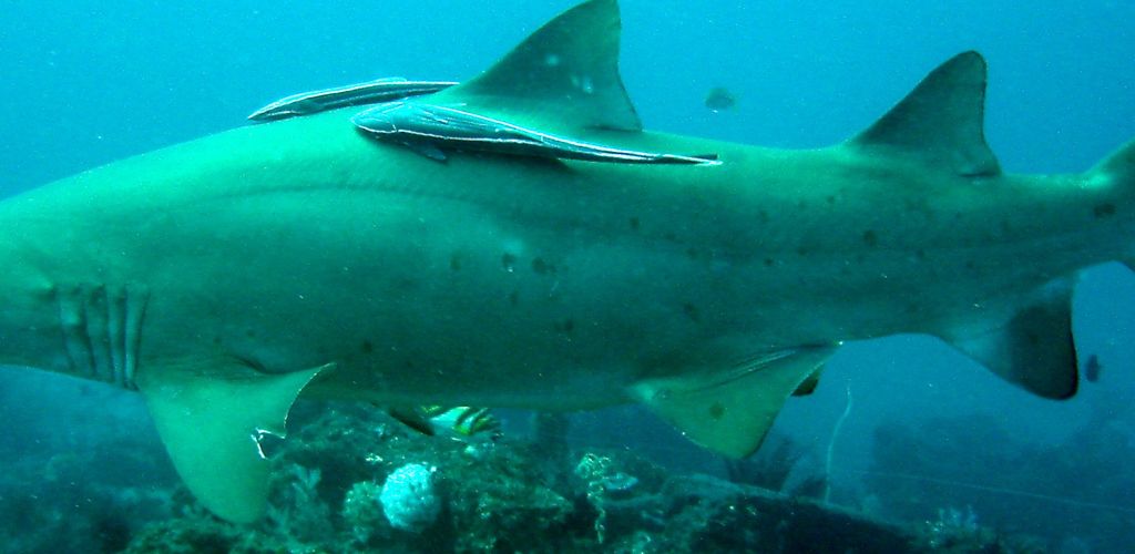 7d3fc65c-da5f-4322-9617-c5e837c91f95