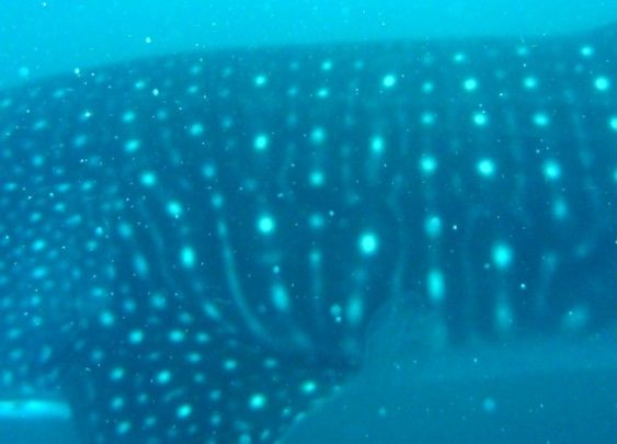 1c0b6447-b6e6-4672-b890-ac7bf197dc31