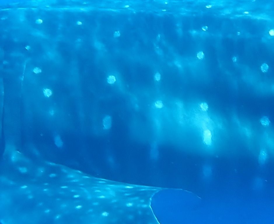 8e944a50-f3a0-471b-8e94-5af1e34d8dc3