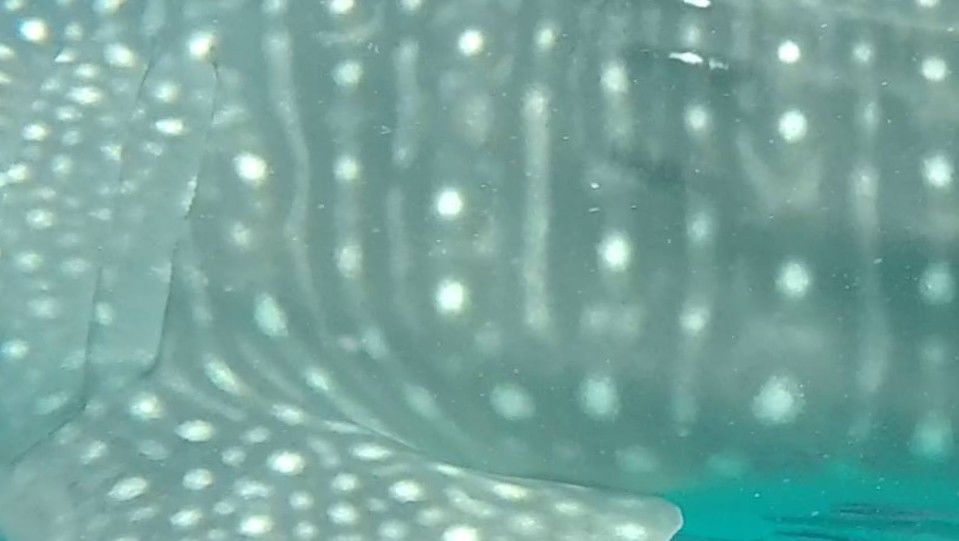 67ebeefd-fb3d-4749-92cc-407e228ee83a